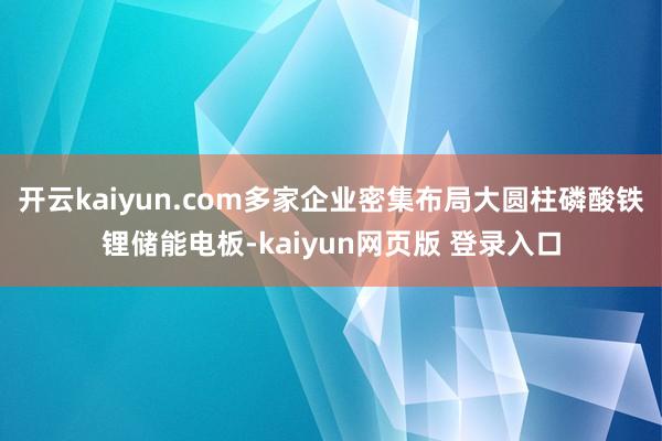 开云kaiyun.com多家企业密集布局大圆柱磷酸铁锂储能电板-kaiyun网页版 登录入口